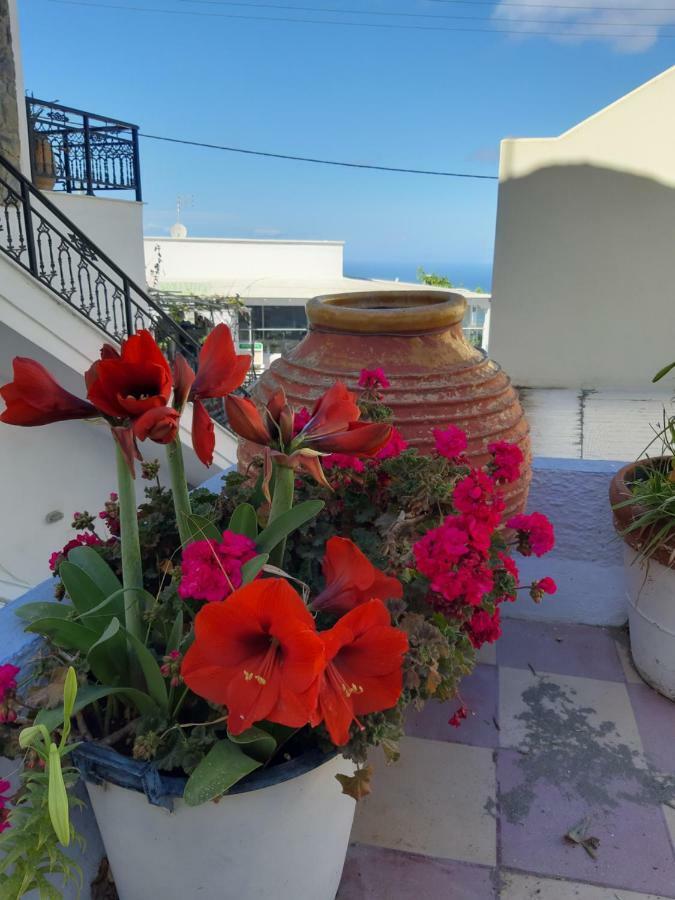 Katerina Kafieri Apartments Firostefani Luaran gambar